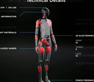 Tesla может наладить производство своих человекоподобных роботов Bot в Техасе