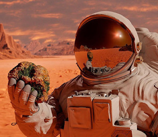 Біологи назвали рослину, яку варто першою посадити на Марсі