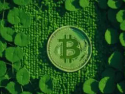 Криптовалютний аналітик спрогнозував зростання криптовалюти біткоїн до $10 мільйонів