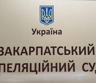 На Закарпатті чоловіка вдруге покарали за антиукраїнські заклики в забороненій соцмережі