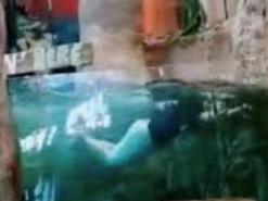 Парень нырнул в аквариум супермаркета ради лайков в соцсетях