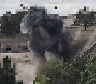 На Одещині знищили дрейфуючу морську міну