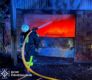 Згоріли Tesla та 10 сонячних панелей: поблизу Рівного сталась пожежа