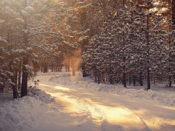 Зими будуть як у західній Європі: синоптик розповів, як зміниться клімат в Україні