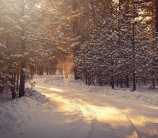 Зими будуть як у західній Європі: синоптик розповів, як зміниться клімат в Україні