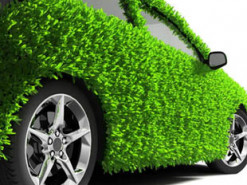 Утверждена новая визуальная форма электронного полиса "Зеленая карта" - Нацкомфинуслуг