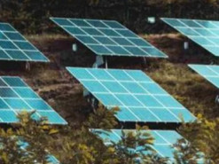 Загробні кіловати: в Іспанії перетворюють кладовища на сонячні електростанції