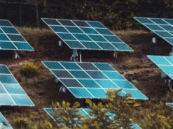 Китай обійшов Захід і це надовго: залишиться найбільшим імпортером сонячних панелей