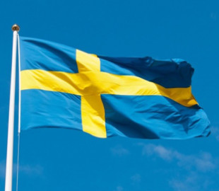 Швеція виділить $370 мільйонів на системи з протидії дронам