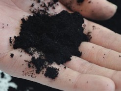 Почти весь графен на коммерческом рынке оказался подделкой