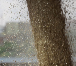 Ще двом капітанам російських суден оголосили підозри за вивезення українського зерна