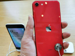 Названы самые популярные смартфоны в мире