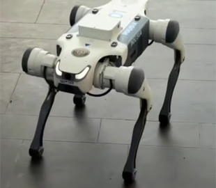 В одному з аеропортів з’явилися незвичайні "працівники" — чим дивують