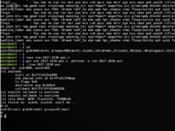 В ядре Linux устранены уязвимости, позволяющие локально повысить привилегии