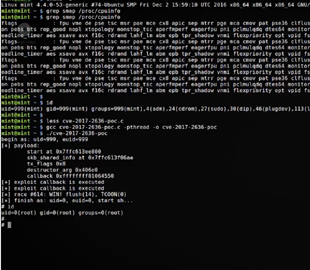 В ядре Linux устранены уязвимости, позволяющие локально повысить привилегии
