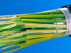 Встановлено новий рекорд швидкості передавання даних оптичним волокном