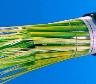 Встановлено новий рекорд швидкості передавання даних оптичним волокном