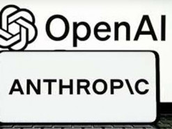 Директорка з доходів OpenAI різко розкритикувала Anthropic