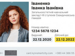 Власти Киева планируют запустить электронный ученический билет до конца года