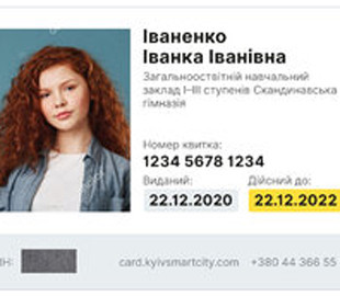 Власти Киева планируют запустить электронный ученический билет до конца года