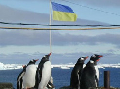 Украинские полярники проведут серию онлайн-встреч с детьми
