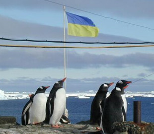 Украинские полярники проведут серию онлайн-встреч с детьми