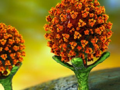 Суперкомпьютер показал, почему новые варианты коронавируса более заразны и смертельны