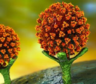 Суперкомпьютер показал, почему новые варианты коронавируса более заразны и смертельны