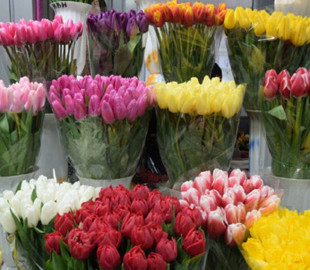 Жінка перерахувала шахраям понад 13 тисяч гривень за неіснуючі тюльпани