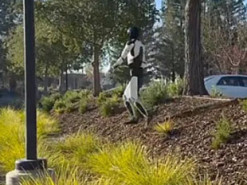 Optimus освоює пересічну місцевість: Маск показав нові можливості робота