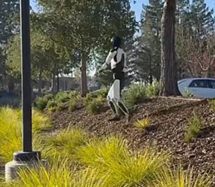 Optimus освоює пересічну місцевість: Маск показав нові можливості робота