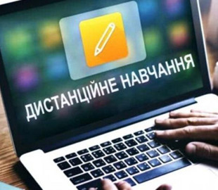 На Житомирщині на дистанційному навчанні перебувають понад 90 шкіл