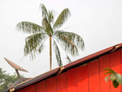 Конго дозволило сервісу Starlink Маска працювати в країні