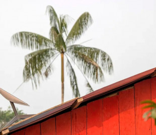 Конго дозволило сервісу Starlink Маска працювати в країні