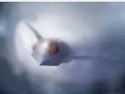 США запланували тестування нового винищувача F‑47