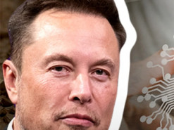 Мільйони літрів води і сотні мегаватів електрики: як Маск, ШІ та техногіганти знищують довкілля