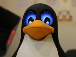 Red Hat, CentOS и Debian десять лет разрешали нелегально стать администратором