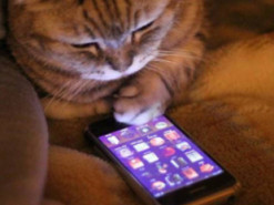 Як прискорити роботу смартфона власними силами: сім порад