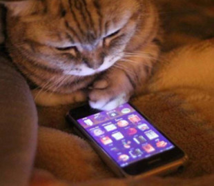 Як прискорити роботу смартфона власними силами: сім порад