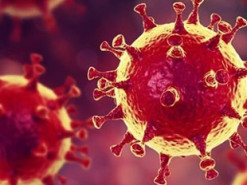 На Росії виявили унікальний штам коронавірусу — «російський дельтакрон»