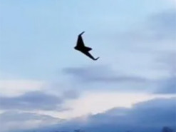 НПЗ у Краснодарському краї РФ зазнав значних пошкоджень після атаки українских БПЛА