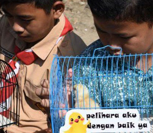 В Индонезии придумали оригинальный способ борьбы с детской зависимостью от гаджетов