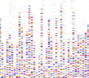 Исследователи смогли расшифровать ДНК на обычном компьютере
