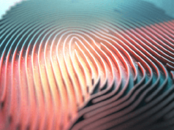 Интернет без паролей стал на шаг ближе к реальности