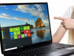 Почти треть ПК в мире получили самую свежую версию Windows 10