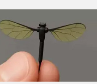 Китайські розробники створили найменший у світі військовий розвідувальний мікродрон