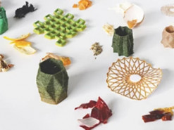 У США створили 3D-принтер, який з харчових відходів друкує предмети побуту