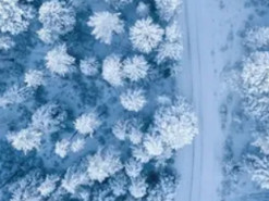 Скільки снігу буде взимку в Україні: прогноз погоди по місяцях