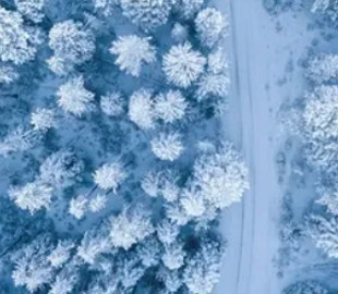 Скільки снігу буде взимку в Україні: прогноз погоди по місяцях