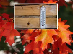 "Це вже остання хвиля тепла": синоптик розповів, коли до України прийде похолодання